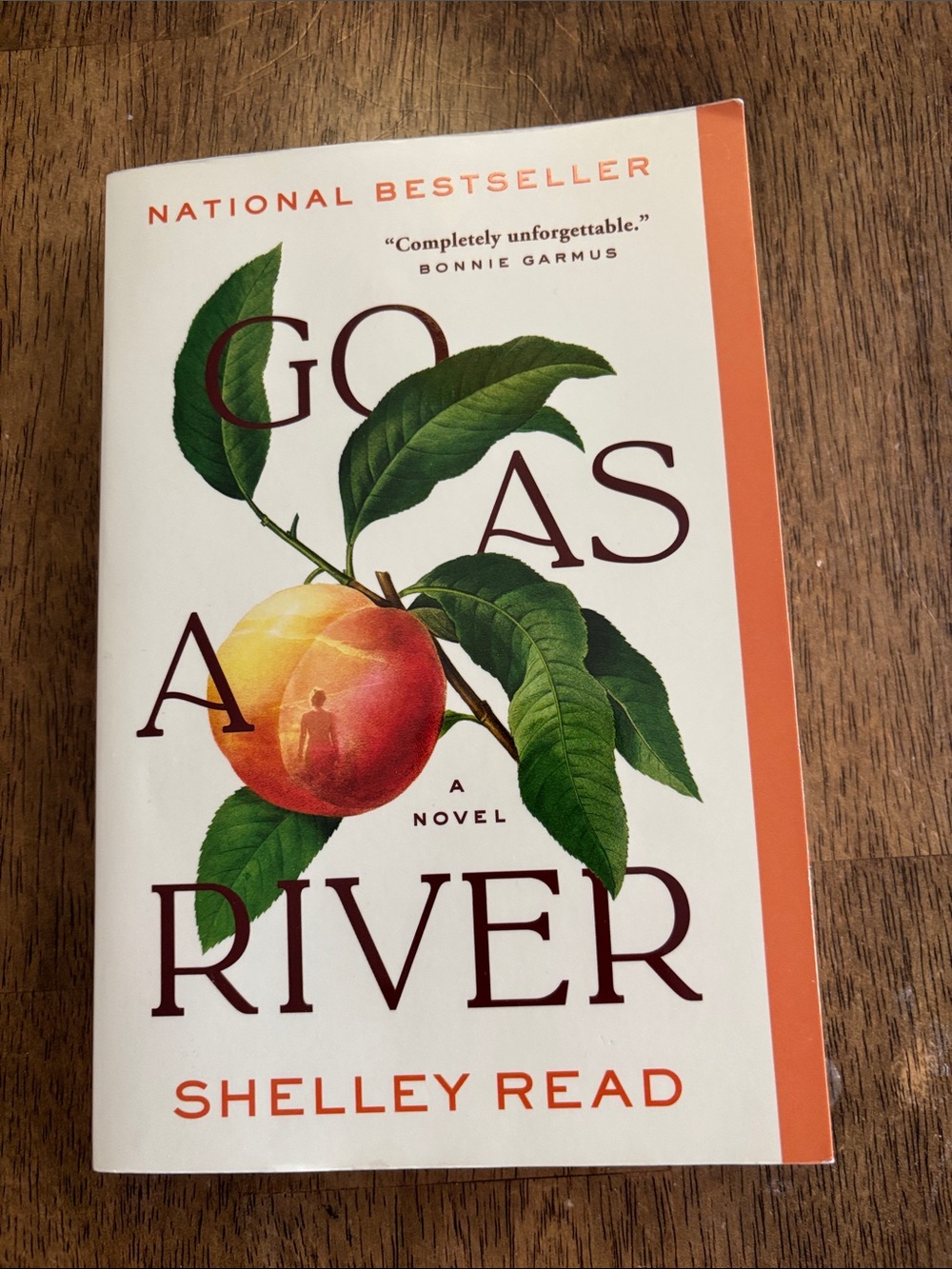 Go As A River by Shelley Read - Paperback, read once gently